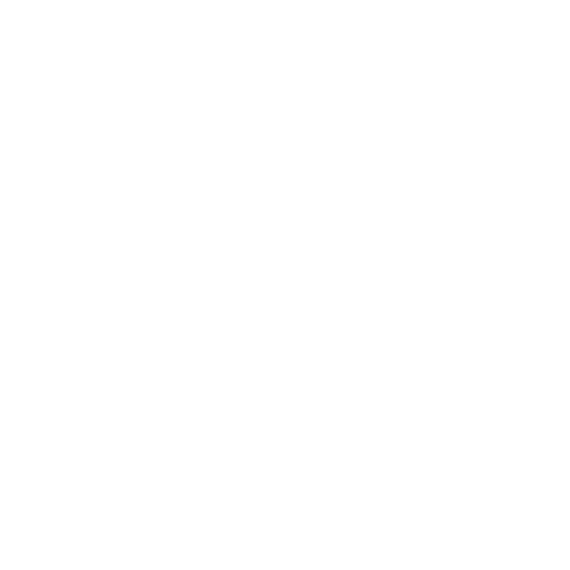 cropped-CFSL-WEB-LOGO-WHITE-1.png